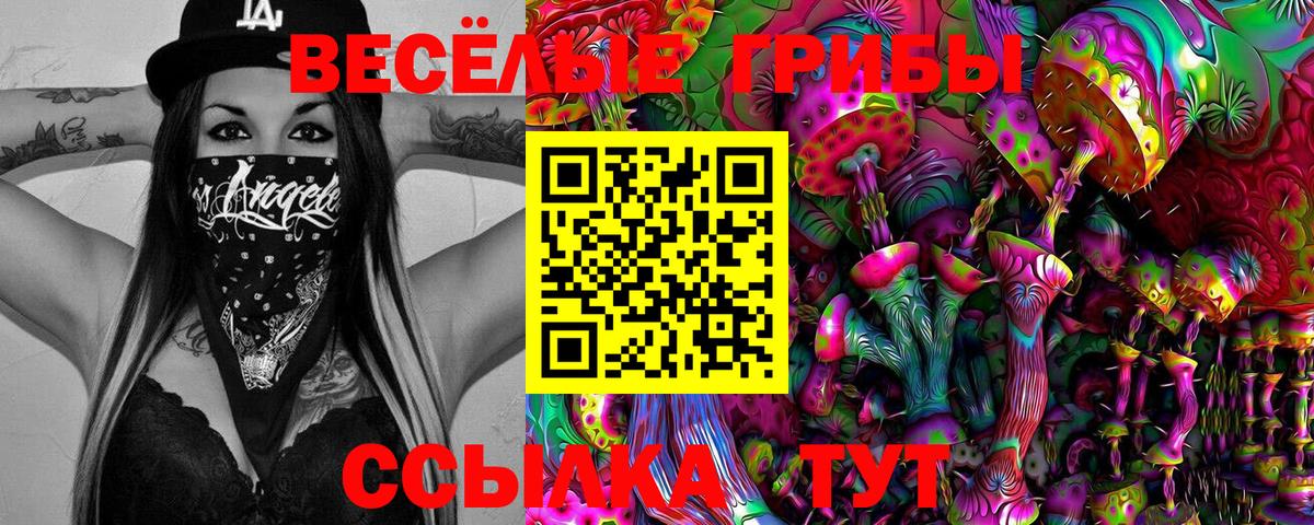 даркнет сайт  Псилоцибиновые грибы Psilocybine cubensis  Вход с VPN  Можга  Псилоцибиновые грибы мухоморы 